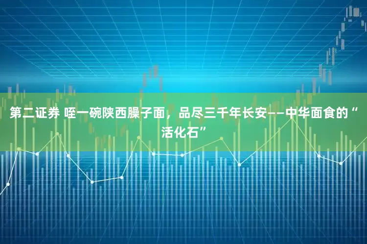 第二证券 咥一碗陕西臊子面，品尽三千年长安——中华面食的“活化石”